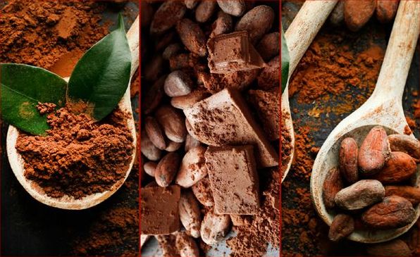 Какао-порошок: виды, характеристики и кулинарные достоинства
