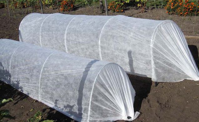 Переваги теплиць з агроволокна: Сталий вибір для садівників